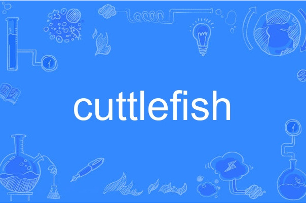 cuttlefish cuttlefish