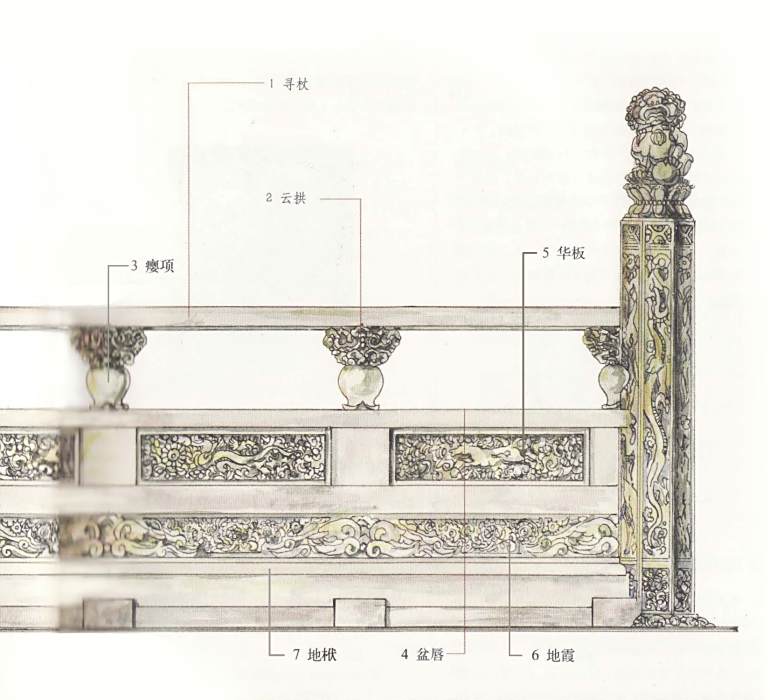 盆唇 盆唇