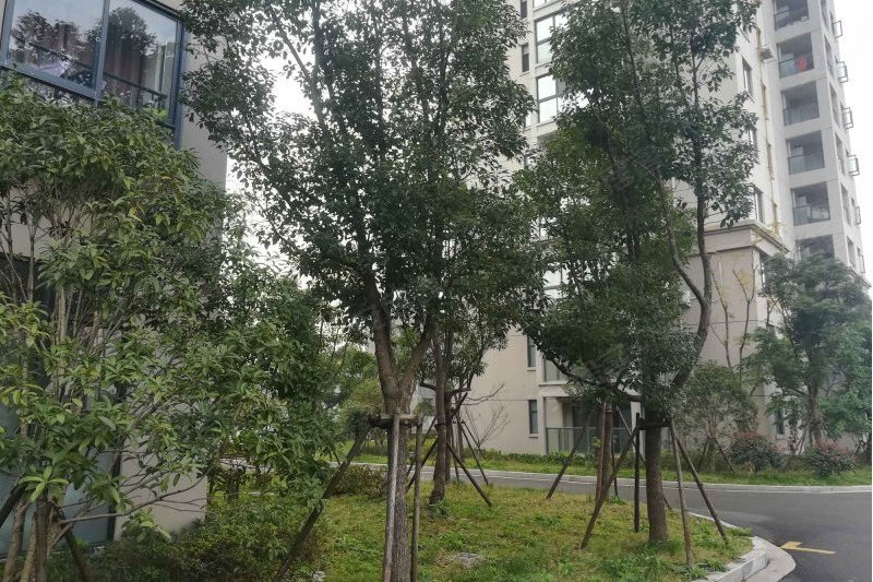豐翔嘉園(浙江省溫州市甌海區的小區)
