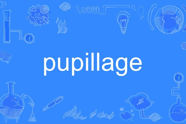 pupillage pupillage