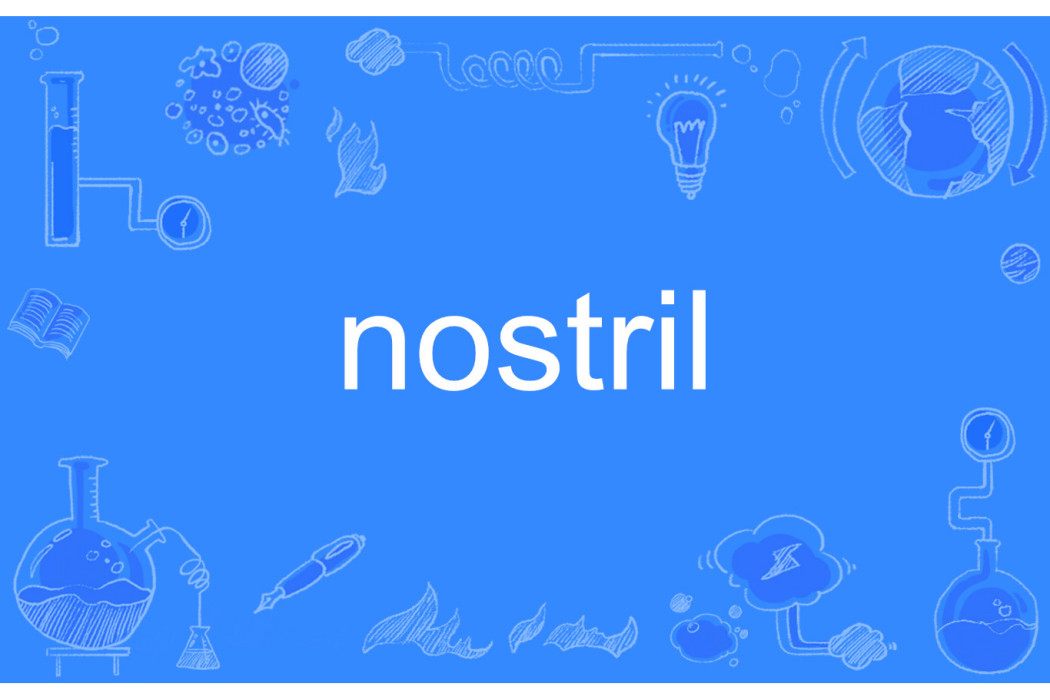 nostril nostril