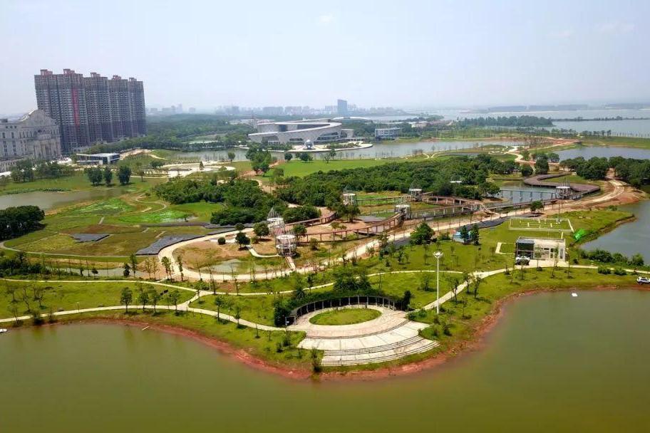 富華公園 富華公園