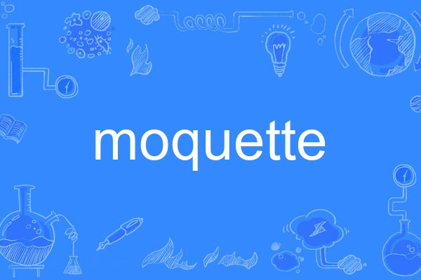 moquette moquette