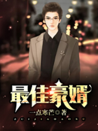 最佳豪婿(一點寒芒著網路小說) 最佳豪婿(一點寒芒著網路小說)