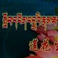 蓮花生(瑪域文化藝術傳播中心製作電影) 蓮花生(瑪域文化藝術傳播中心製作電影)