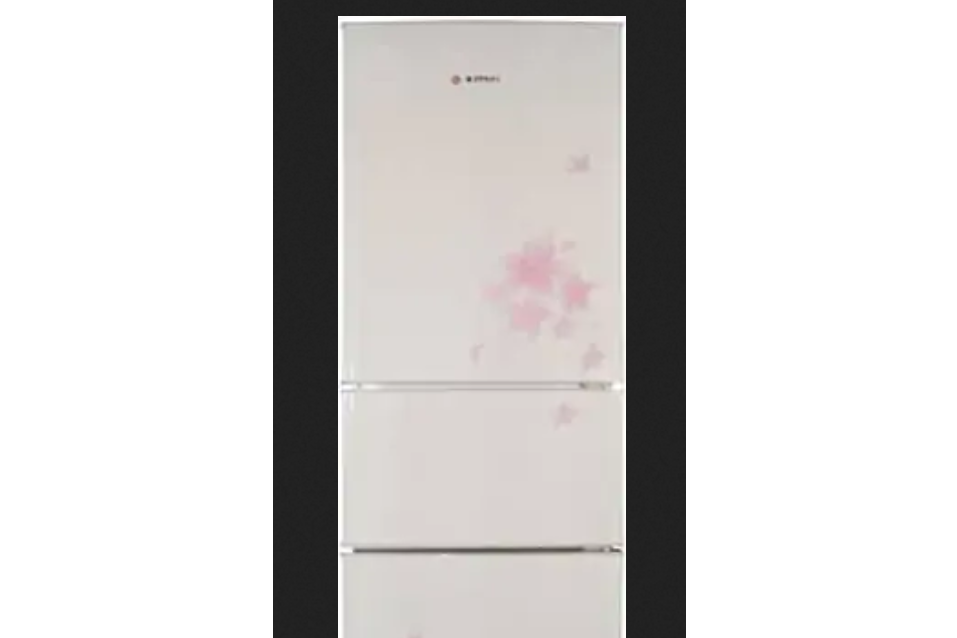 美菱BCD-221CHTA 美菱BCD-221CHTA