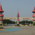 珍珠樂園 珍珠樂園
