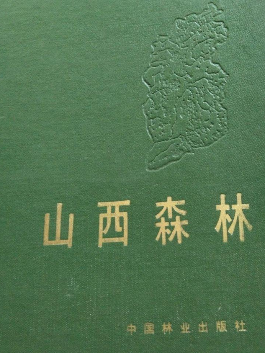 山西森林 山西森林