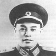 周赤萍 周赤萍