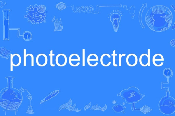 photoelectrode photoelectrode
