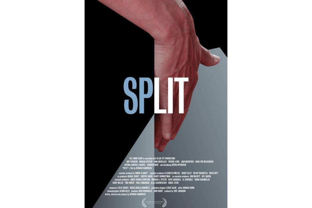 SPLIT(2016年戴寶拉·卡姆普梅爾執導的美國電影) SPLIT(2016年戴寶拉·卡姆普梅爾執導的美國電影)