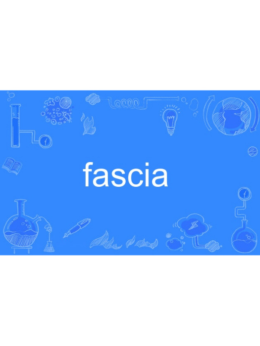 fascia fascia