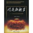 閃亮的新星:大學生創業背後的商數(閃亮的新星) 閃亮的新星:大學生創業背後的商數(閃亮的新星)