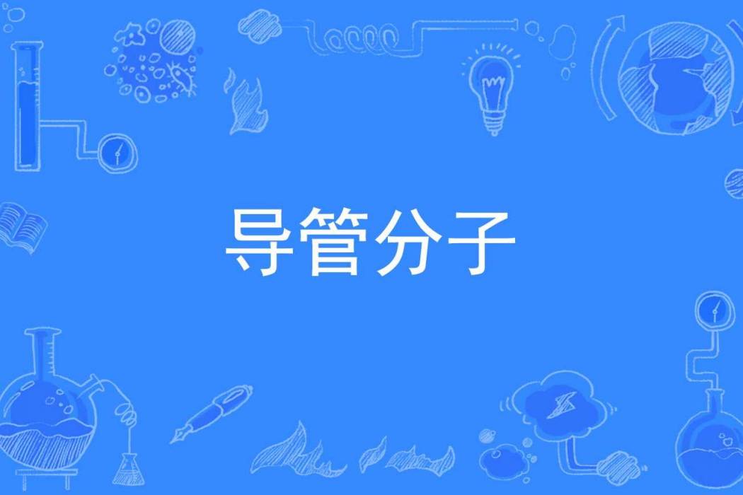 導管分子 導管分子