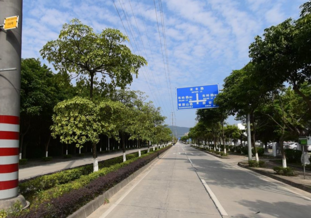 新豐路(廣州市道路) 新豐路(廣州市道路)