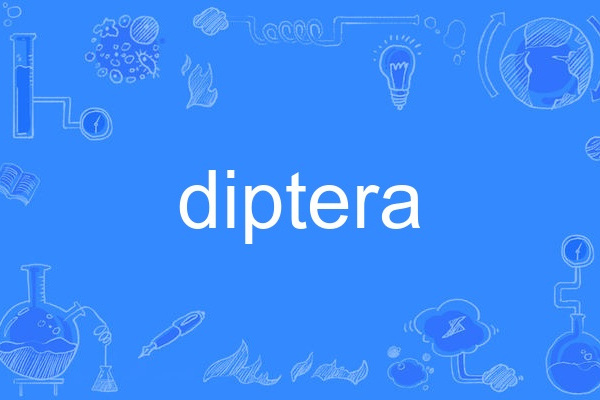 diptera diptera