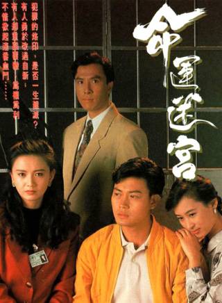 甄子丹 甄子丹