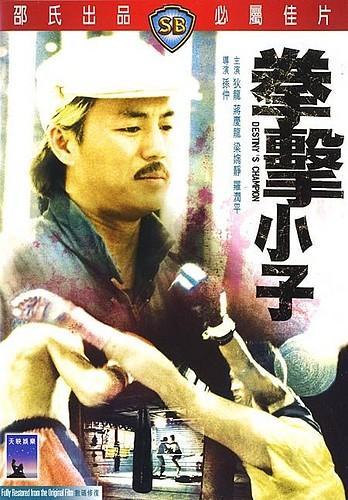 拳擊小子(1982年上映香港電影)