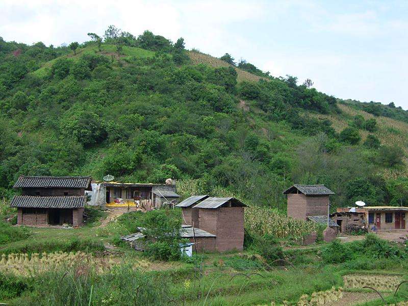 桑家灣村 桑家灣村