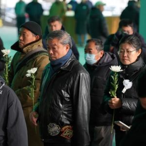 何晴去世 何晴去世