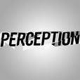perception perception