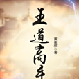 王道高手 王道高手