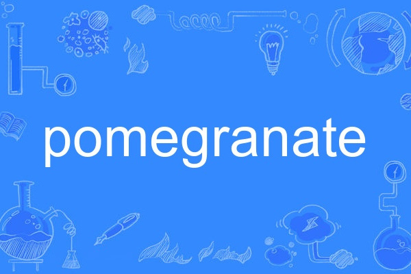 pomegranate pomegranate