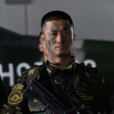 何晨光 何晨光
