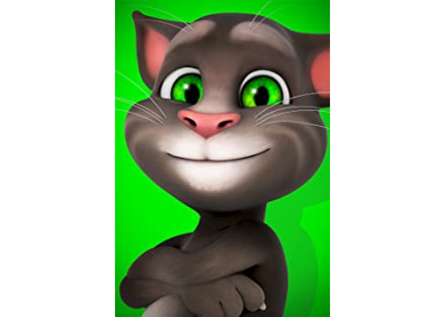 Talking Tom Talking Tom