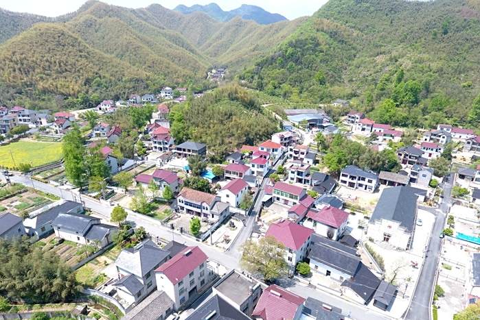 桐杭村 桐杭村
