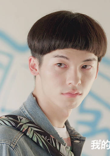我的男孩(2017年林心如、張軒睿主演電視劇)