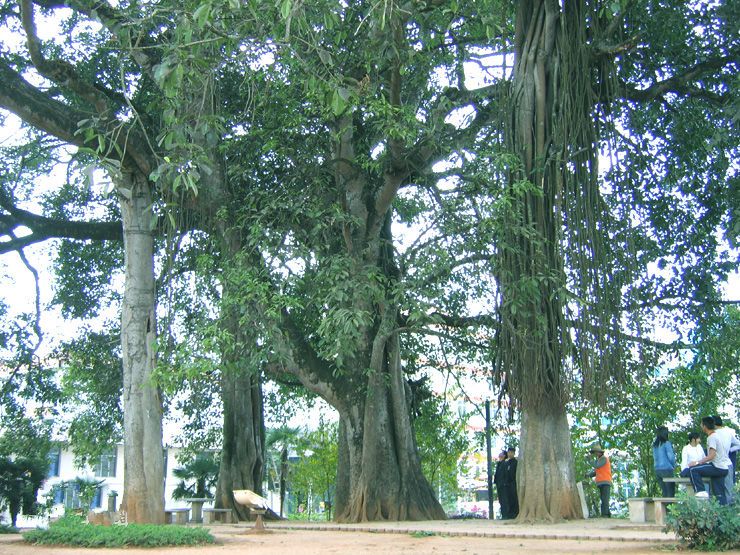 到生根公園 到生根公園
