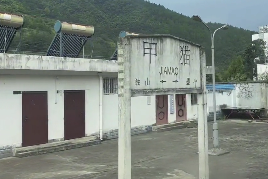 甲貓站 甲貓站