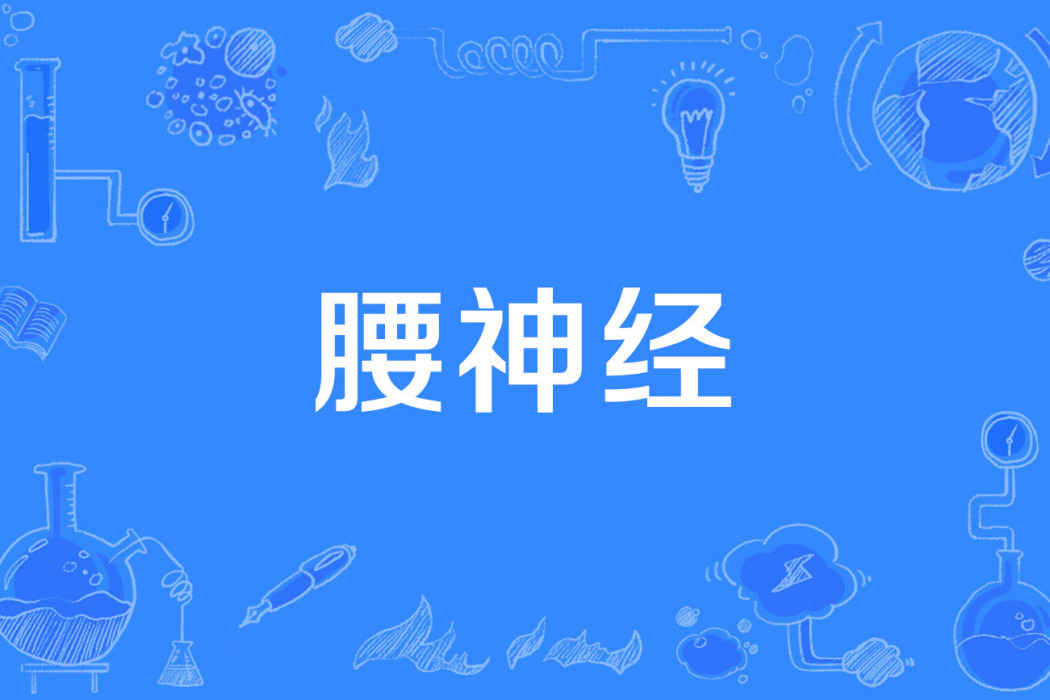 腰神經 腰神經