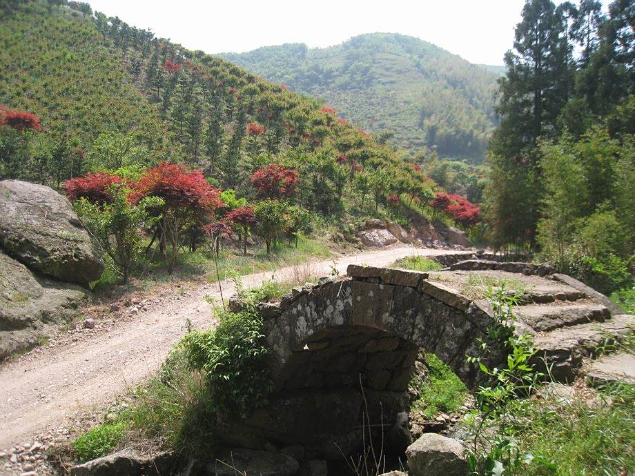 蛤蟆坑古道 蛤蟆坑古道