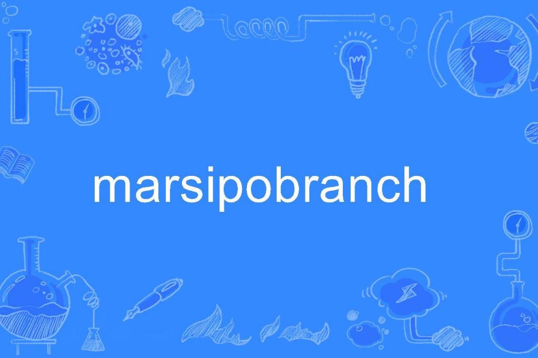 marsipobranch marsipobranch