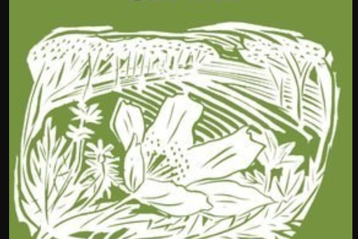 John Clare John Clare
