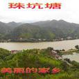 朱坑塘 朱坑塘