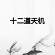 十二道天機 十二道天機