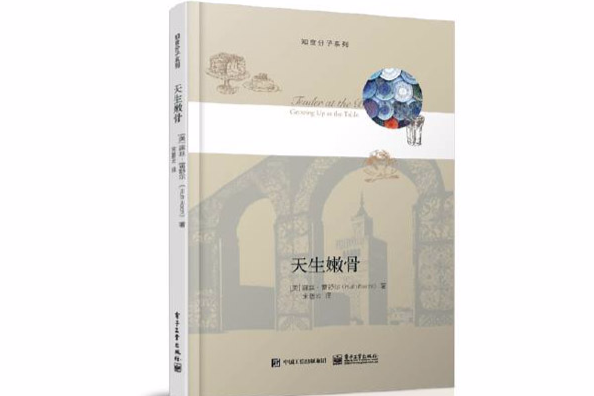 天生嫩骨(2015年電子工業出版社出版的圖書) 天生嫩骨(2015年電子工業出版社出版的圖書)