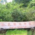 松羅國家步道 松羅國家步道