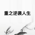 重之逆襲人生 重之逆襲人生