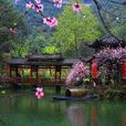 酉陽桃花源(桃花源（重慶酉陽桃花源）)