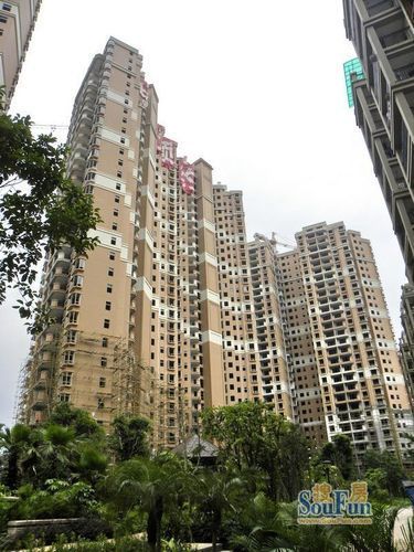 龍胤當歸 龍胤當歸