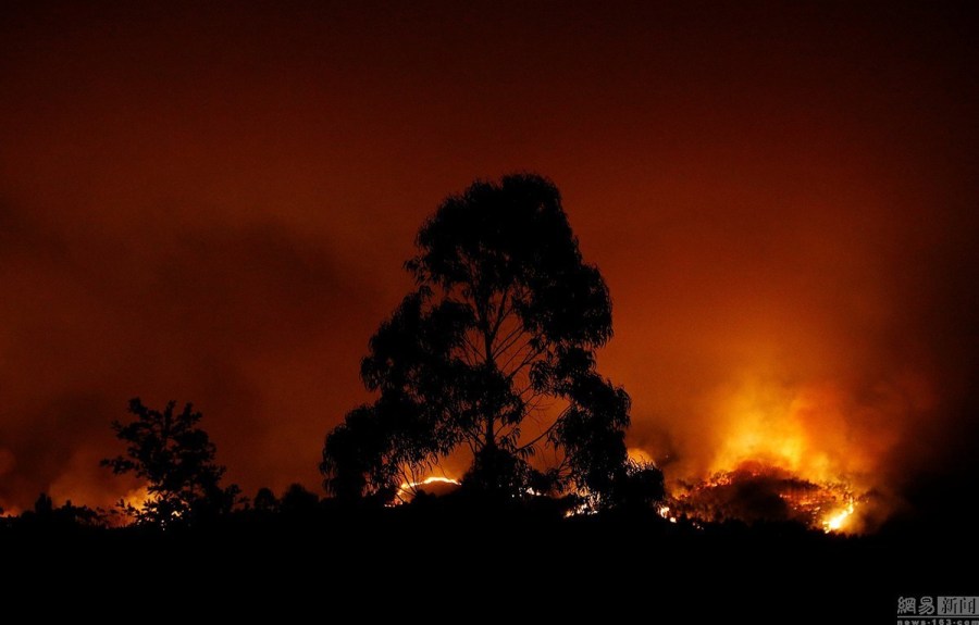 6·17葡萄牙森林火災