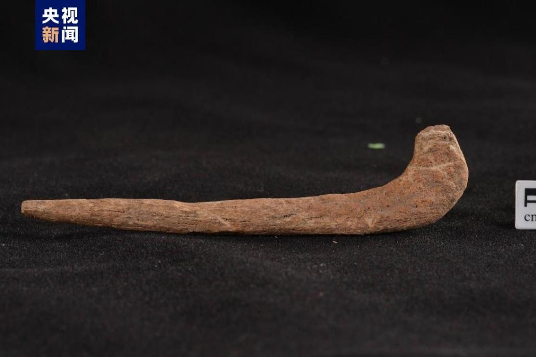 魚鉤(貴州穿洞遺址出土文物) 魚鉤(貴州穿洞遺址出土文物)