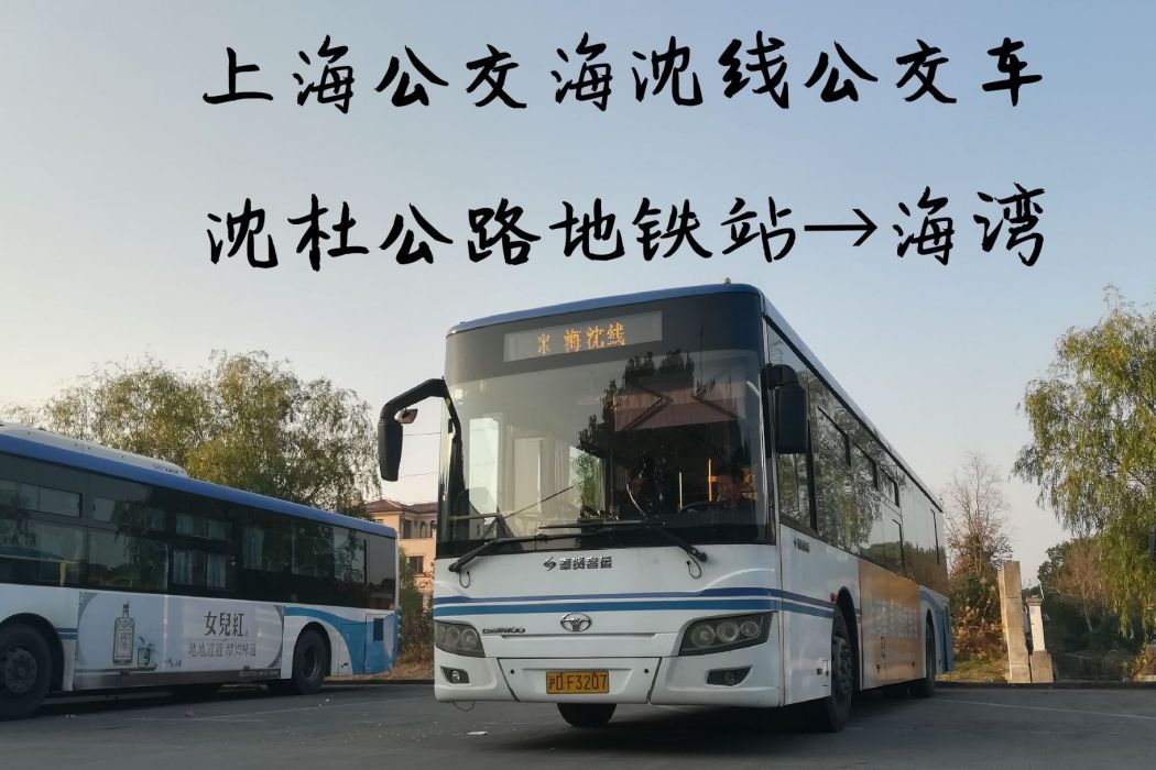 海沈線