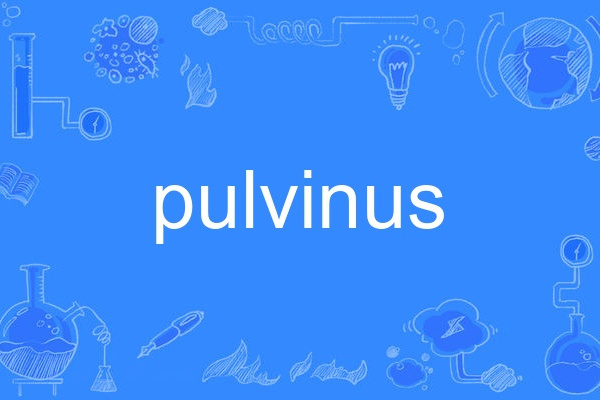 pulvinus pulvinus