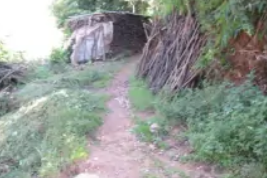 水碓房村(雲南省楚雄州武定縣貓街鎮水碓房村) 水碓房村(雲南省楚雄州武定縣貓街鎮水碓房村)