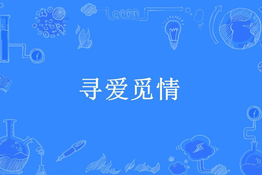 尋愛覓情 尋愛覓情